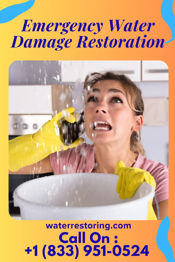 Emergency Water Damage Restoration in Park Ridge, IL