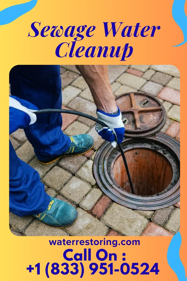 Sewage Water Cleanup in Park Ridge, IL
